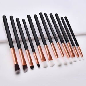 12 Pieces eye makeup brush set