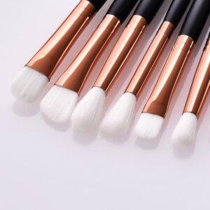 12 Pieces eye makeup brush set (5)