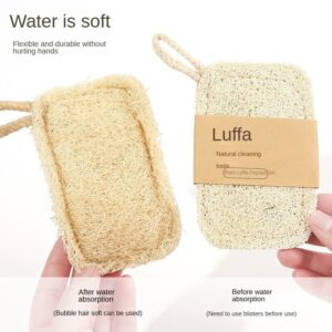 Loofah Dish Scrubber